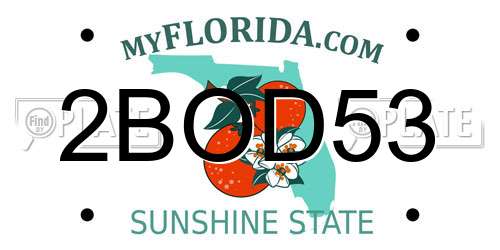 2BOD53 Florida License Plate