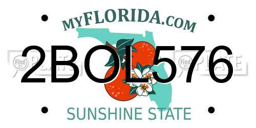 2BOL576 Florida License Plate