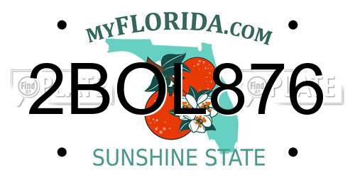 2BOL876 Florida License Plate