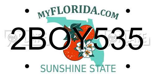 2BOY535 Florida License Plate