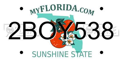 2BOY538 Florida License Plate