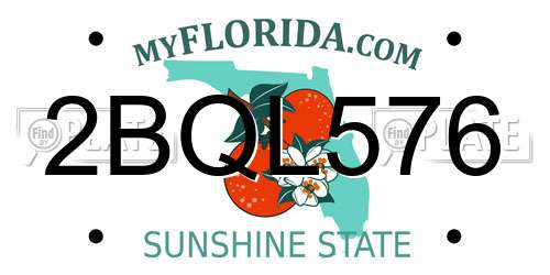2BQL576 Florida License Plate