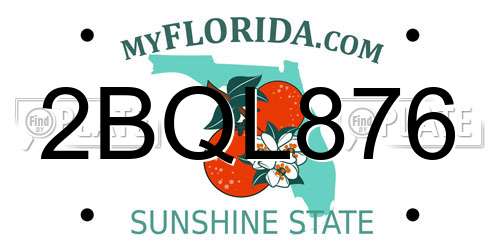 2BQL876 Florida License Plate