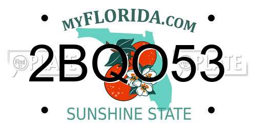 2BQO53 Florida License Plate