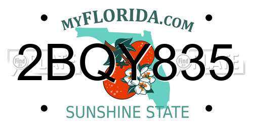 2BQY835 Florida License Plate