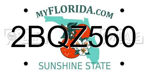 2BQZ560 Florida License Plate