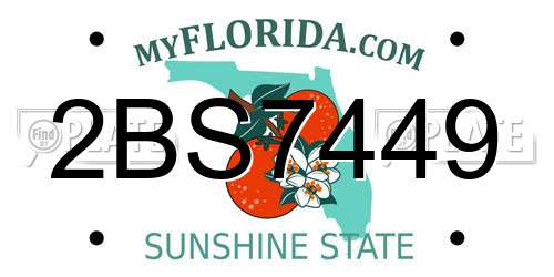 2BS7449 Florida License Plate