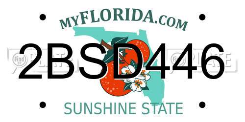 2BSD446 Florida License Plate