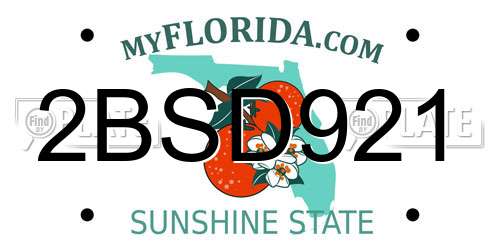 2BSD921 Florida License Plate