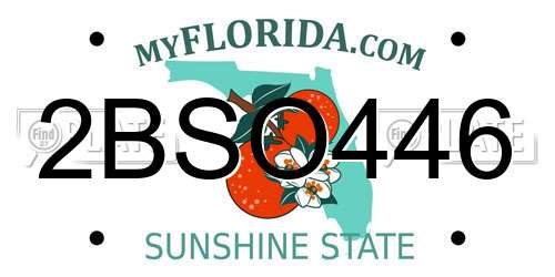 2BSO446 Florida License Plate