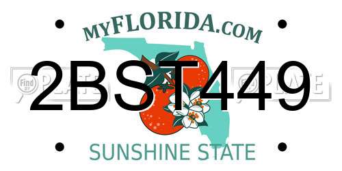 2BST449 Florida License Plate