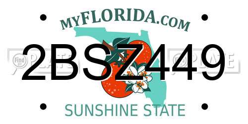 2BSZ449 Florida License Plate
