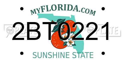 2BT0221 Florida License Plate