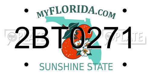 2BT0271 Florida License Plate