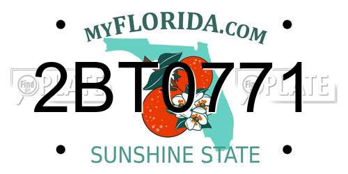 2BT0771 Florida License Plate