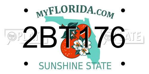 2BT176 Florida License Plate