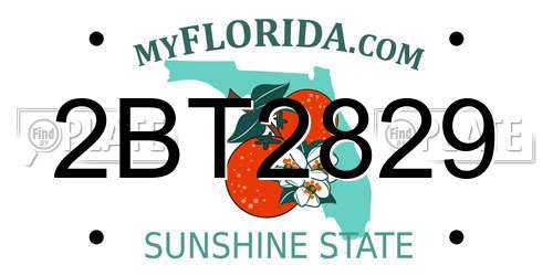 2BT2829 Florida License Plate