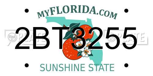 2BT3255 Florida License Plate