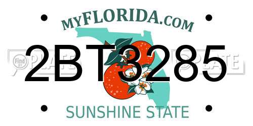 2BT3285 Florida License Plate