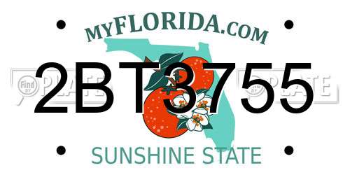 2BT3755 Florida License Plate