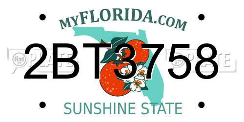 2BT3758 Florida License Plate