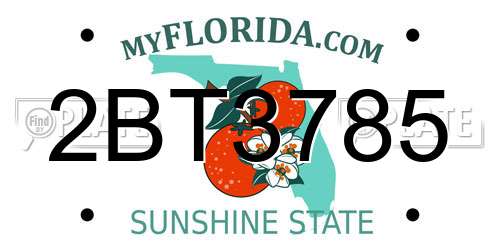 2BT3785 Florida License Plate