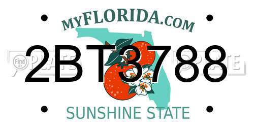 2BT3788 Florida License Plate