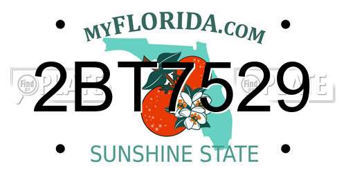2BT7529 Florida License Plate