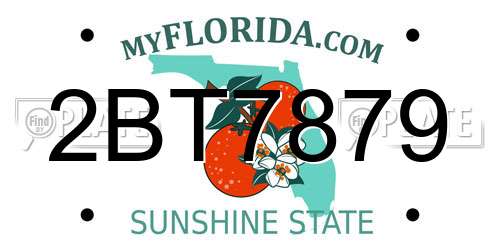 2BT7879 Florida License Plate