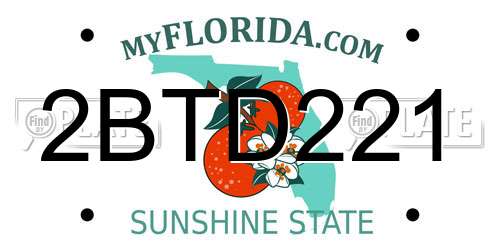 2BTD221 Florida License Plate