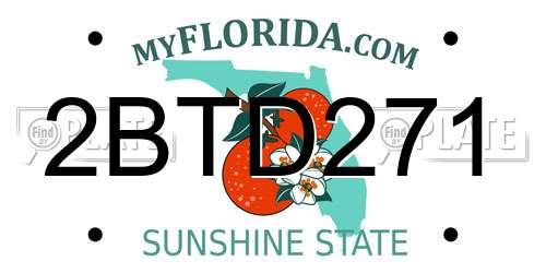 2BTD271 Florida License Plate
