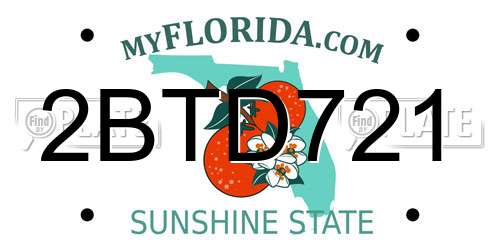 2BTD721 Florida License Plate