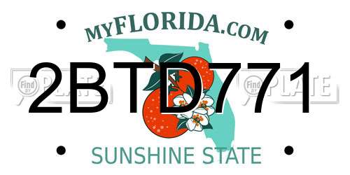 2BTD771 Florida License Plate
