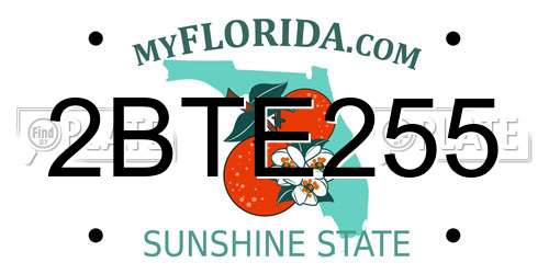 2BTE255 Florida License Plate