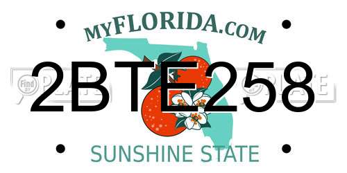2BTE258 Florida License Plate