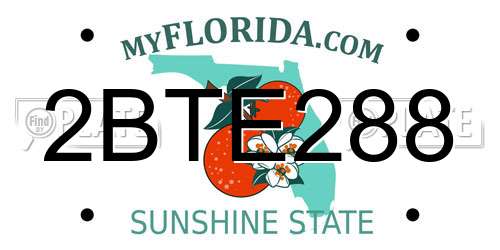 2BTE288 Florida License Plate