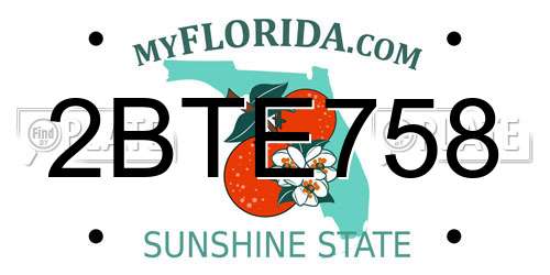 2BTE758 Florida License Plate
