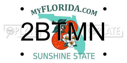 2BTMN Florida License Plate