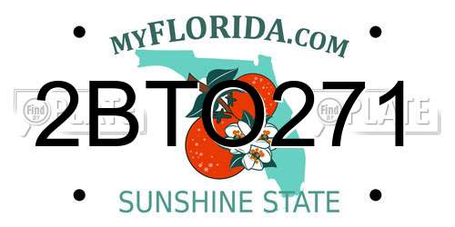 2BTO271 Florida License Plate