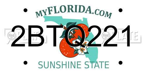 2BTQ221 Florida License Plate