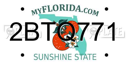 2BTQ771 Florida License Plate