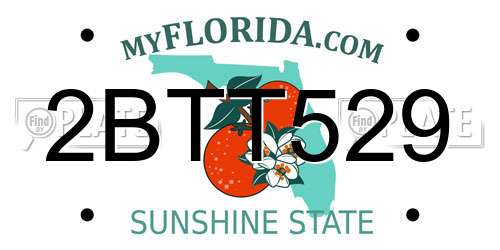 2BTT529 Florida License Plate