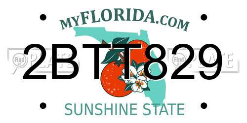 2BTT829 Florida License Plate