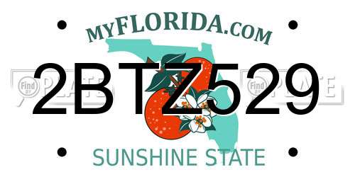 2BTZ529 Florida License Plate