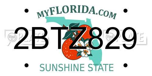 2BTZ829 Florida License Plate