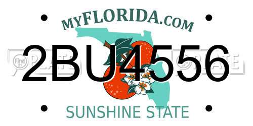 2BU4556 Florida License Plate