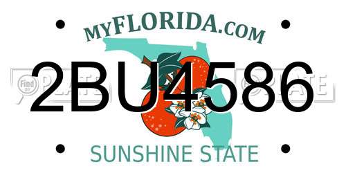2BU4586 Florida License Plate