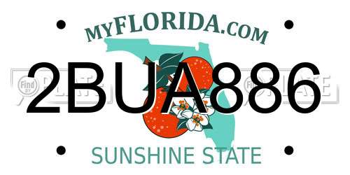 2BUA886 Florida License Plate