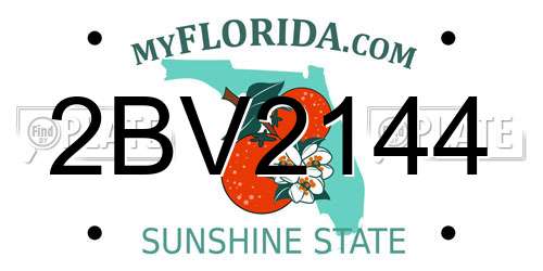 2BV2144 Florida License Plate