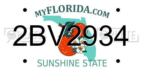 2BV2934 Florida License Plate